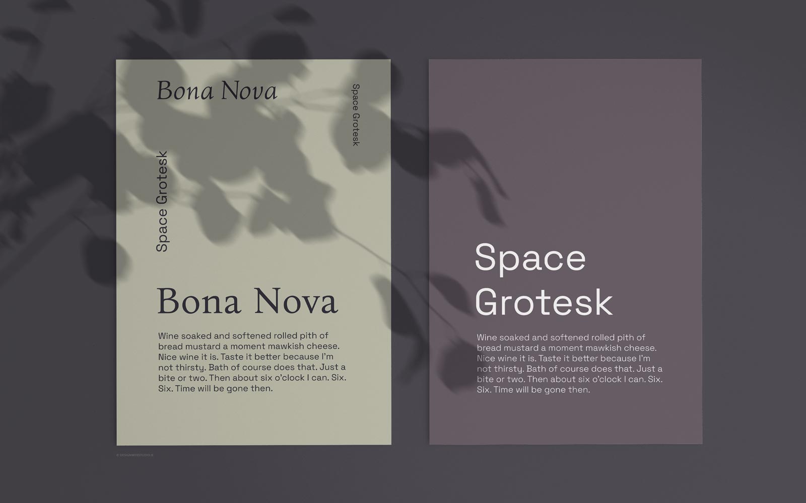 Font pairing bona nova and space grotesk
